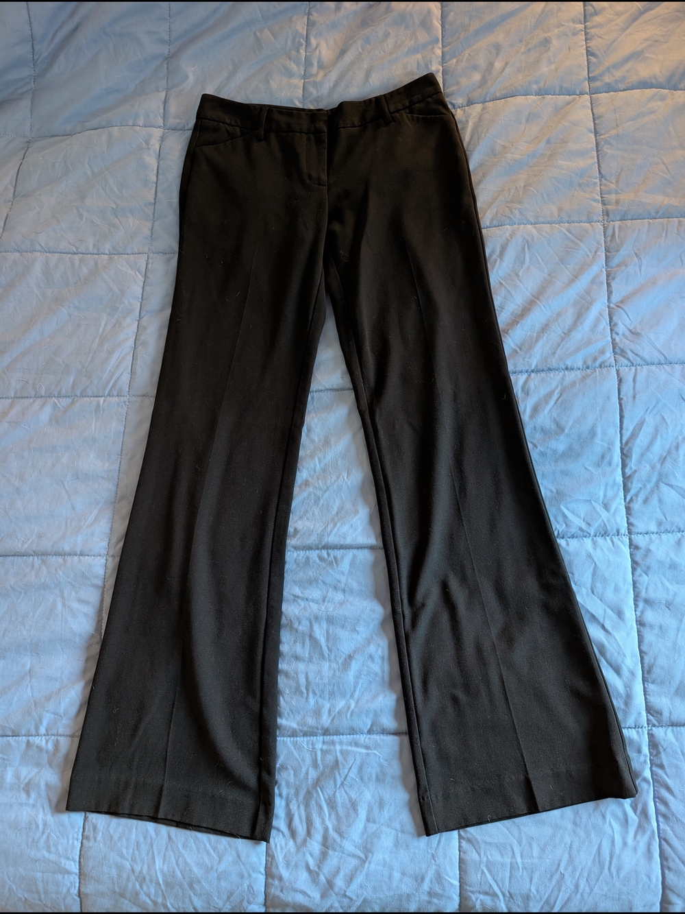 Star City Logan Wide Leg Dress Pants